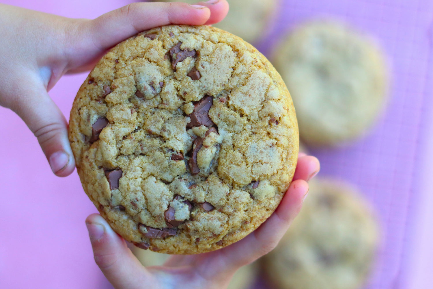 Chocolate chip cookies