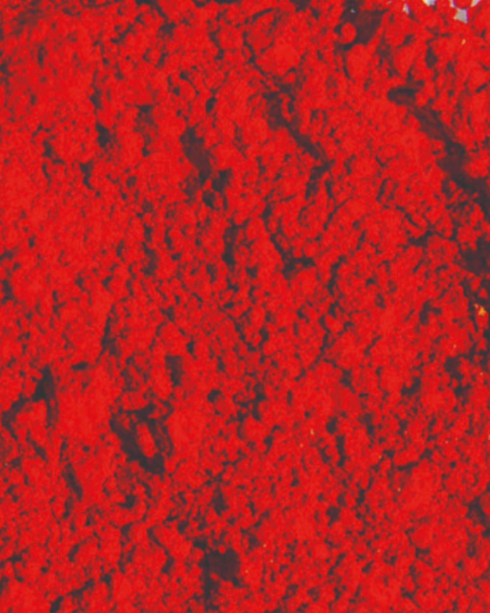 Rød pulverfarge 5g