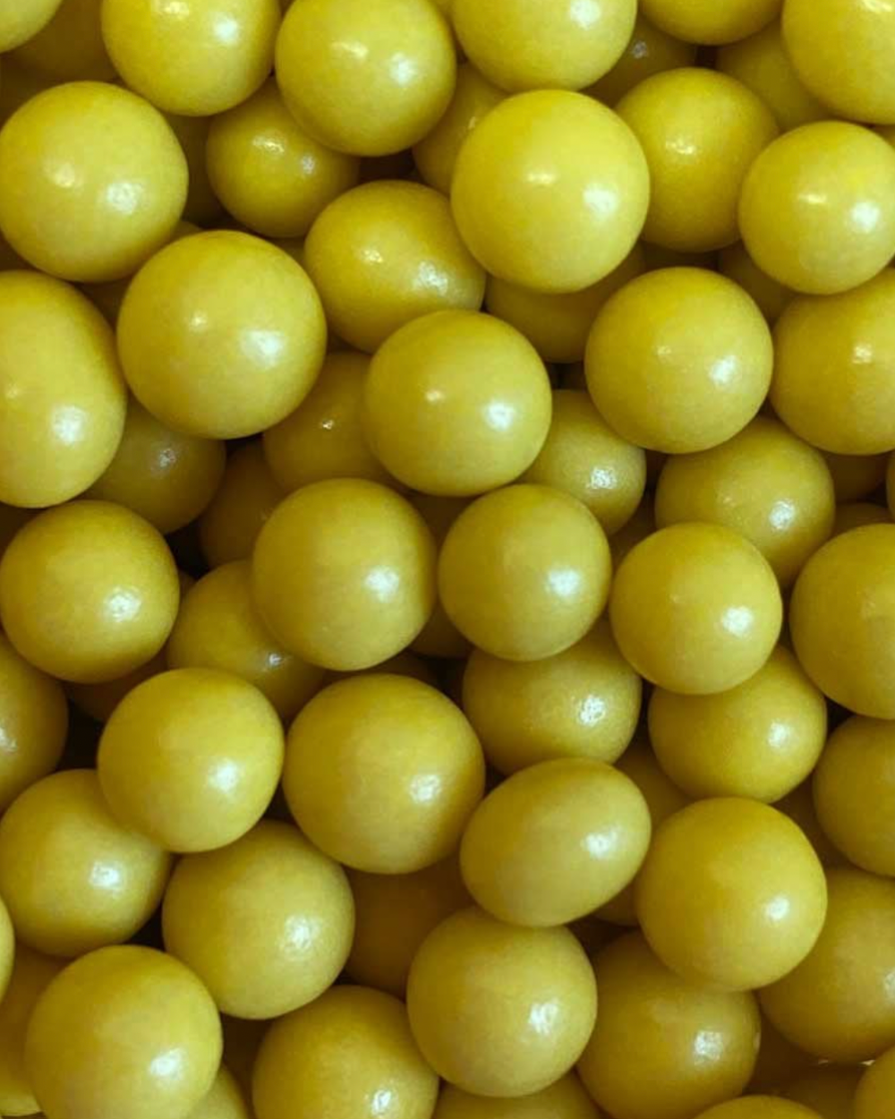Sjokoladekuler - Sennepsgul små