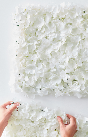Hvit Blomster Bakgrunn