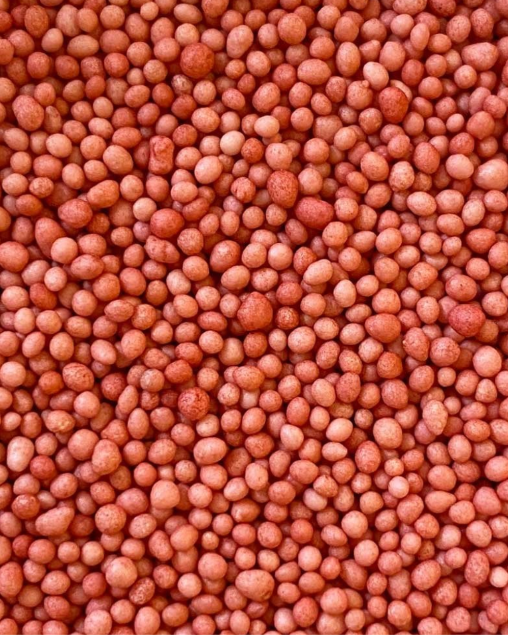 Rød 100s & 1000s